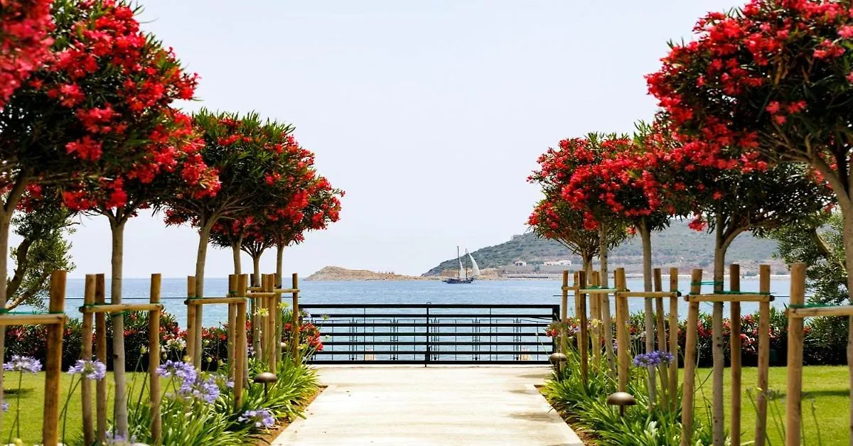 Palaia Hotel Datca